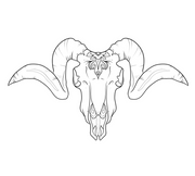 Skull €225